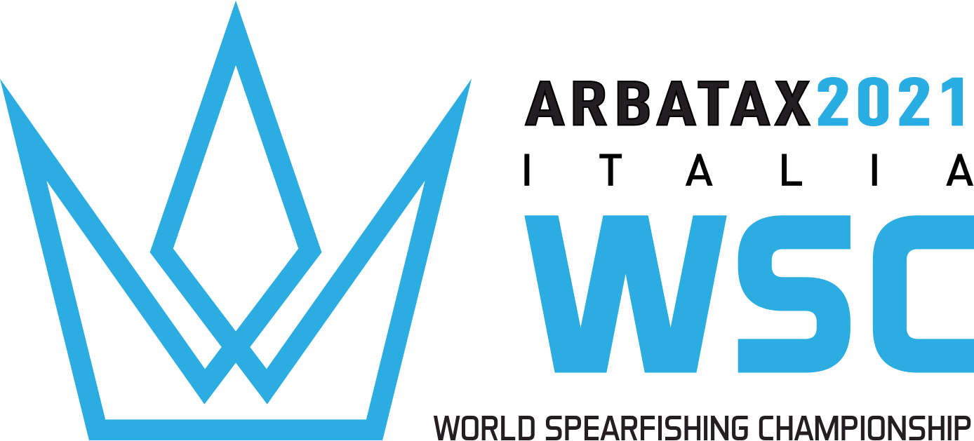 logo-WSC2021.png